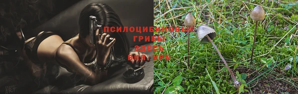 гидропоника Армянск