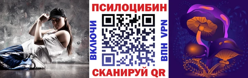 omg ССЫЛКА  купить наркотики сайты  Чайковский  Псилоцибиновые грибы Psilocybine cubensis 